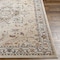 Livabliss Truva TRV-2304 Area Rug , With Fringe TRV2304-6RD - alternate 6
